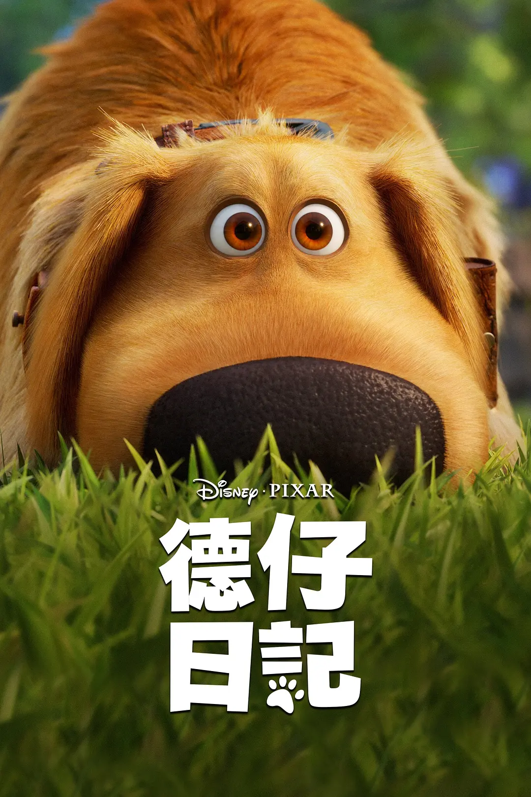 德仔日记 小逗的日子